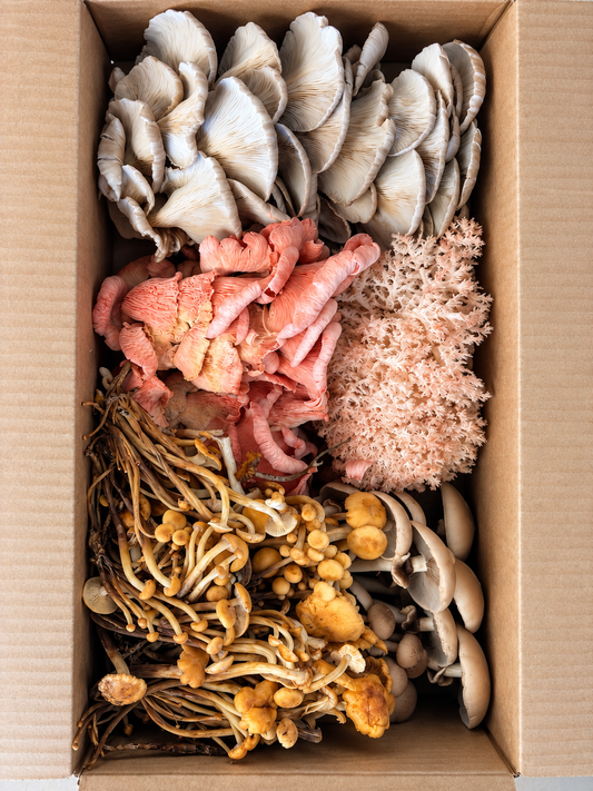 1kg Mixed Exotic Mushrooms