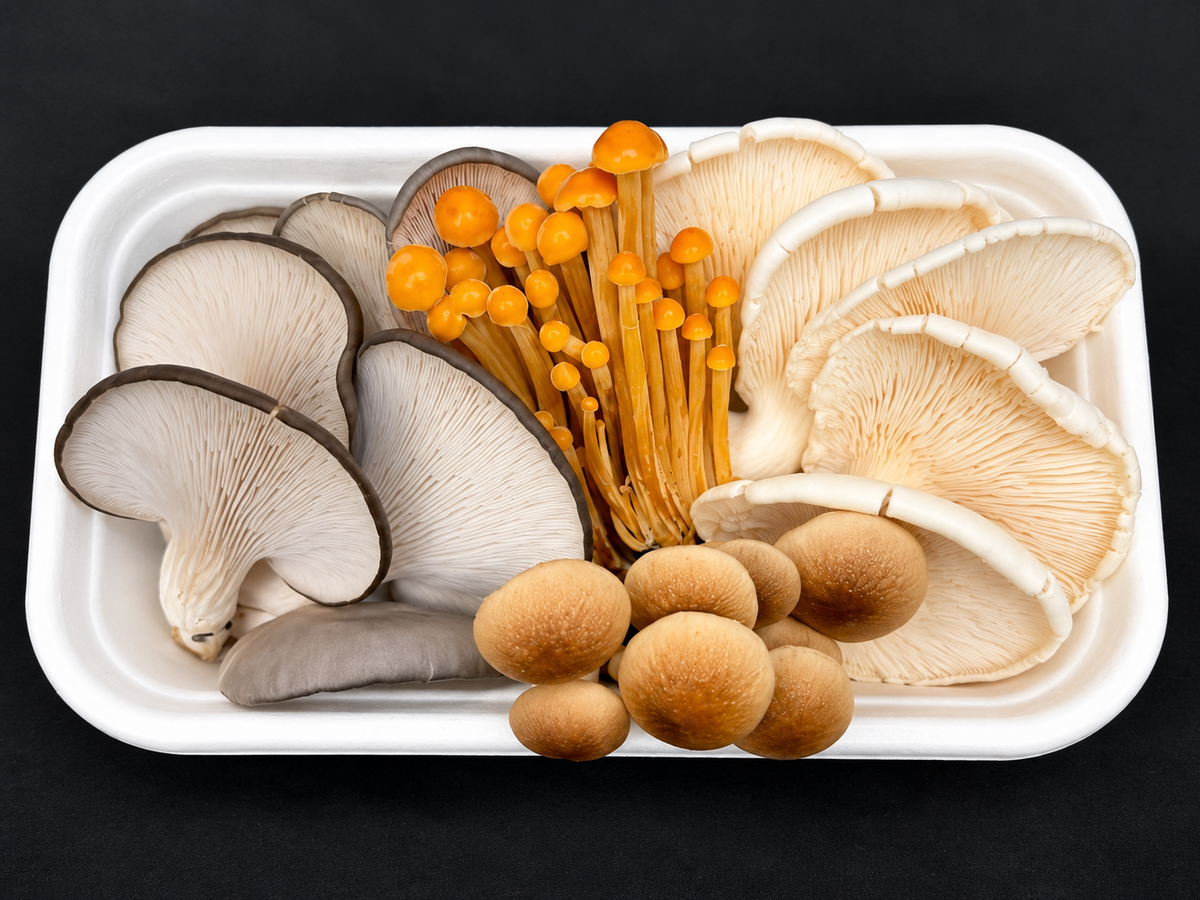 200g Mixed Exotic Box