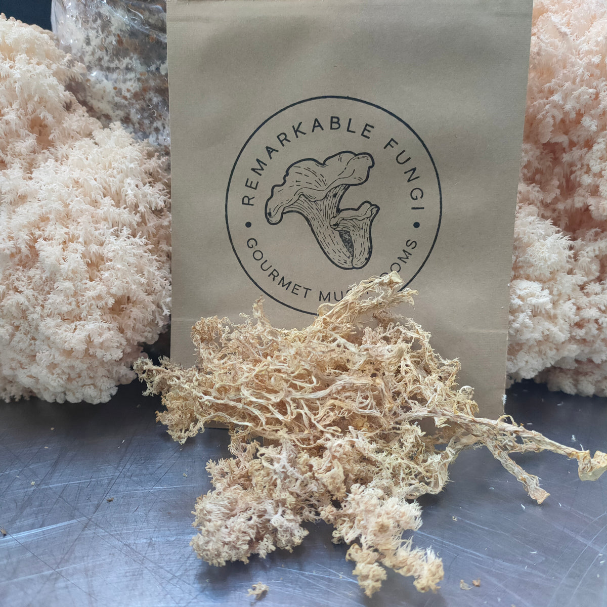 New Zealand Lion's Mane Powder 40g