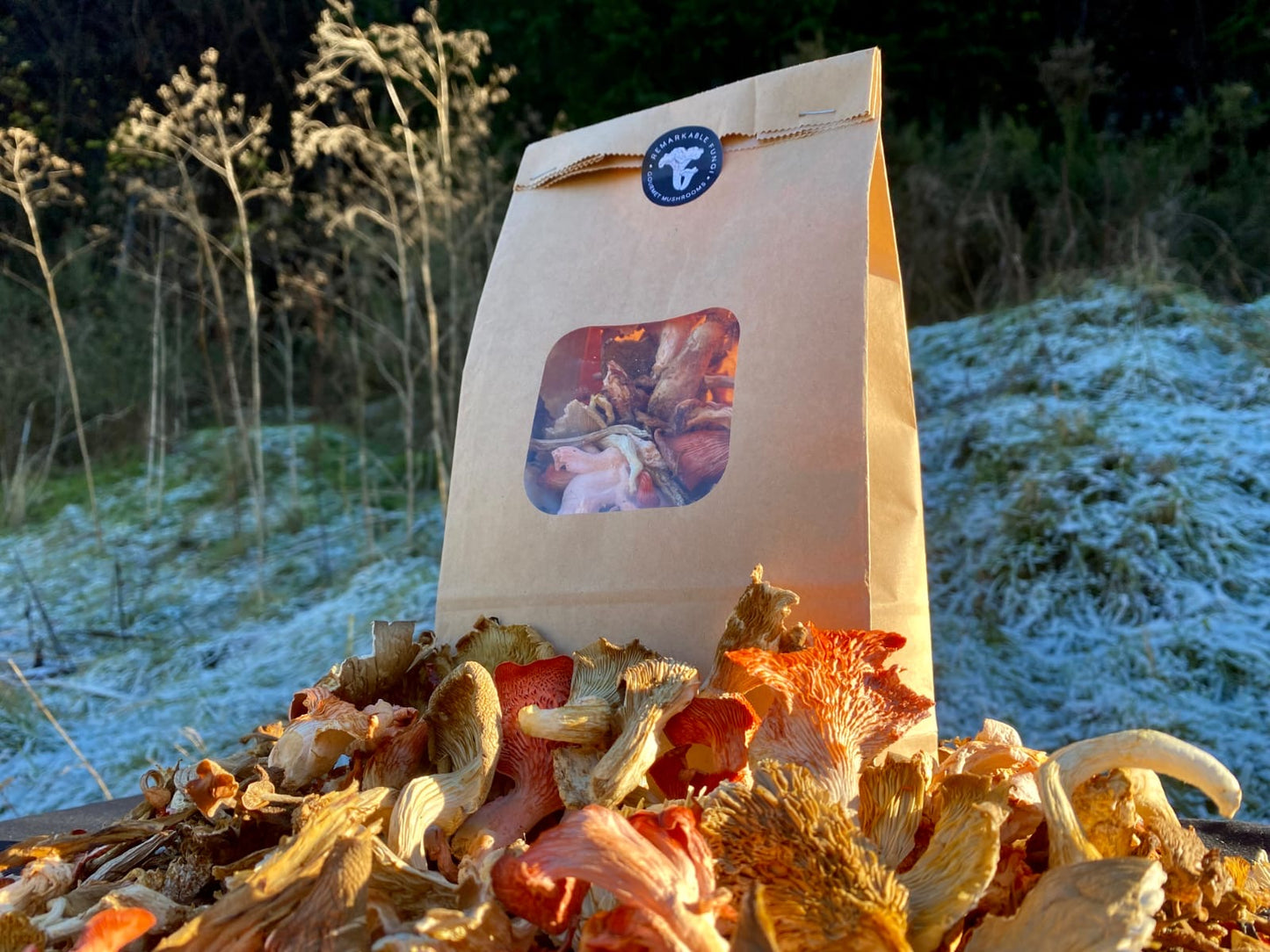 1kg Dried Mixed Mushrooms