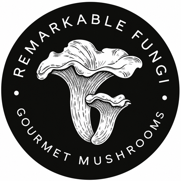 Remarkable fungi 